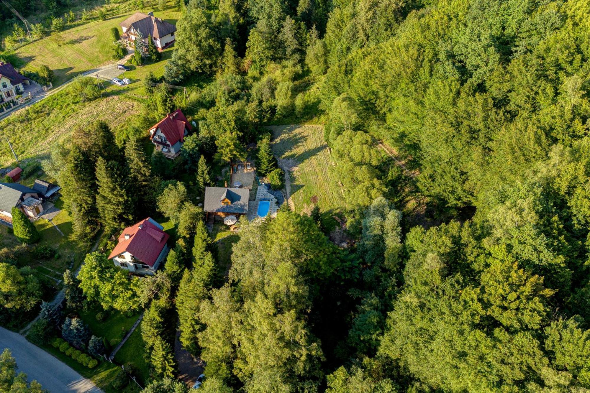 Polana Slowikowa 5 Star- Domek W Gorach Z Jacuzzi, Sauna,Basen,Ogrod Z Lasem, Kominek I Narty Stroza  Extérieur photo