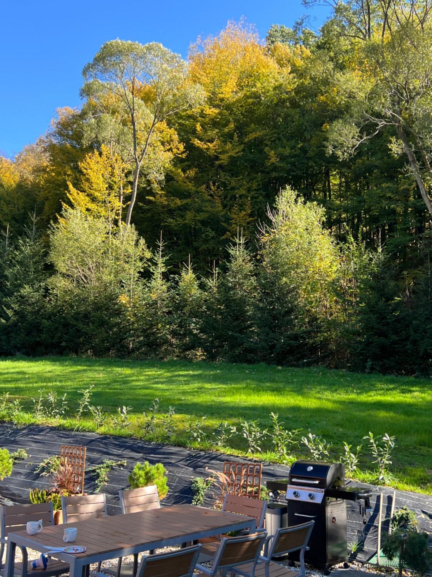 Polana Slowikowa 5 Star- Domek W Gorach Z Jacuzzi, Sauna,Basen,Ogrod Z Lasem, Kominek I Narty Stroza  Extérieur photo